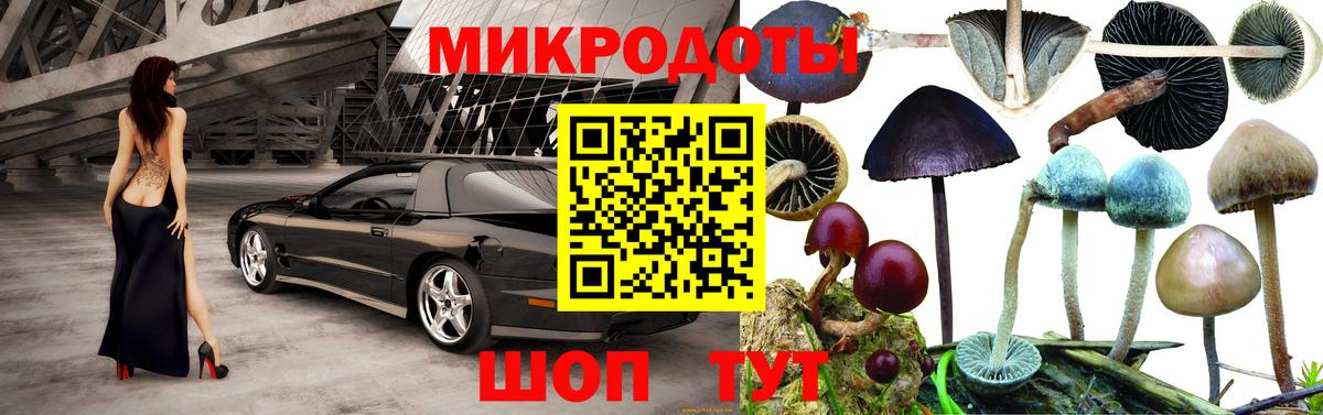 Псилоцибиновые грибы мухоморы Магнитогорск