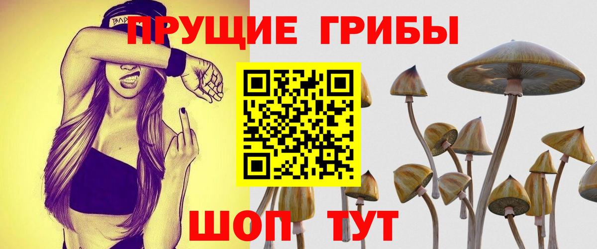 Магнитогорск  Псилоцибиновые грибы GOLDEN TEACHER  Псилоцибиновые грибы прущие грибы  Вход с VPN 