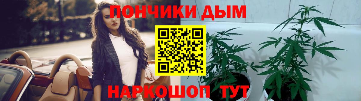 Магнитогорск  Каннабис план  Каннабис тримм  Канабис конопля  Вход с VPN 